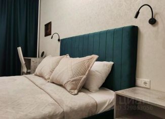 Сдача в аренду 3-комнатной квартиры, 71 м2, Воронеж, улица Защитников Родины, 1А