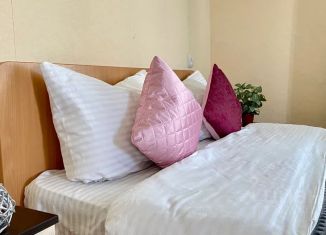 Аренда однокомнатной квартиры, 40 м2, Владимирская область, улица Ленина, 53
