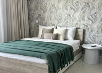 Сдается в аренду 1-ком. квартира, 20 м2, Пермский край, улица Никулина, 8