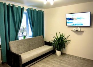 Аренда однокомнатной квартиры, 30 м2, Светлогорск, улица Карла Маркса, 9