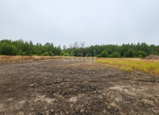 Продаю участок, 10.14 сот., село Тополево, Берёзовая улица, 51