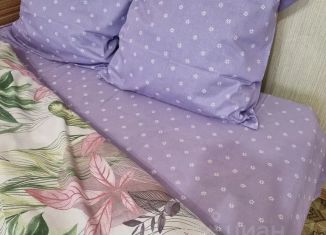 Однокомнатная квартира в аренду, 34 м2, Белгородская область, улица Челюскинцев, 58А