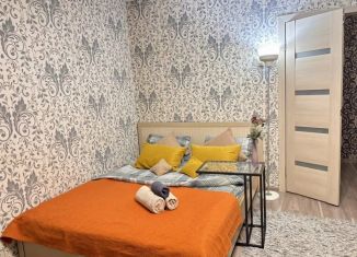 1-ком. квартира в аренду, 40 м2, Омская область, улица Димитрова, 71