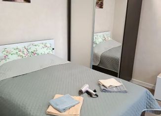 Сдается однокомнатная квартира, 30 м2, Пермь, улица Крупской, 49, Мотовилихинский район