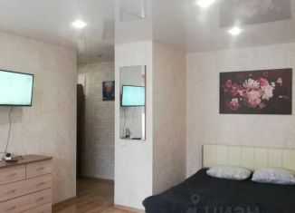 Сдается в аренду квартира студия, 32 м2, Пермь, улица Ленина, 84, Дзержинский район