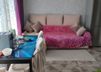 Продажа дома, 35 м2, Алтайский край, Октябрьская улица