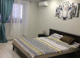 Сдаю в аренду 1-ком. квартиру, 40 м2, Волгоград, улица Маршала Рыбалко, 10А