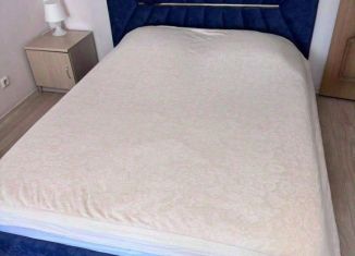 Сдам 1-ком. квартиру, 40 м2, Томск, проспект Ленина, 166, Ленинский район