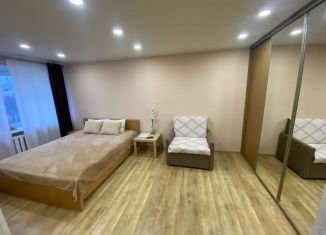 Сдается в аренду 1-комнатная квартира, 30 м2, Мурманск, улица Шмидта, 45