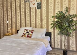 Сдам однокомнатную квартиру, 45 м2, Татарстан, улица Татарстан, 9