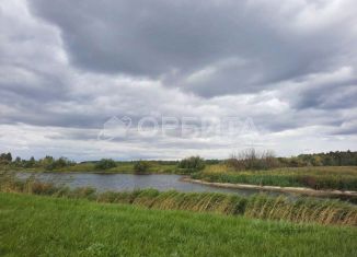 Продается земельный участок, 40066 сот., Курганская область, улица Гагарина