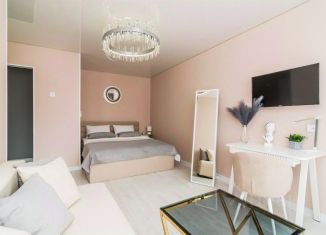 Аренда 1-ком. квартиры, 32 м2, Пермь, улица Ленина, 39, Ленинский район