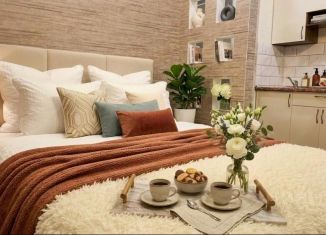 Сдам 1-комнатную квартиру, 30 м2, Барнаул, Интернациональная улица, 101, Центральный район