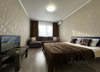 Аренда 1-комнатной квартиры, 37 м2, Оренбург, улица Дорофеева, 7, Дзержинский район