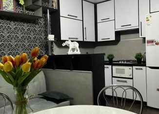 Сдаю в аренду 1-ком. квартиру, 45 м2, Камышин, 6-й микрорайон, 8