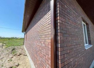 Продается дом, 110 м2, село Федосеевка, Рябиновая улица
