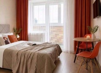 Сдам в аренду 1-комнатную квартиру, 25 м2, Пермь, улица Солдатова, 30Б, Свердловский район
