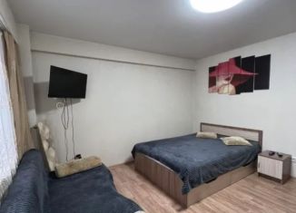 Сдам в аренду квартиру студию, 30 м2, Иркутск, улица Пискунова, 148/3, Октябрьский округ