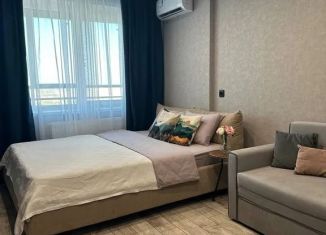 Сдается 1-ком. квартира, 30 м2, Удмуртия, Базарная площадь, 1