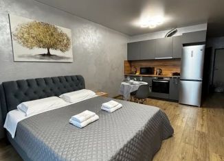 Сдается квартира студия, 38 м2, Челябинск, улица Энгельса, 4, ЖК Западный Луч