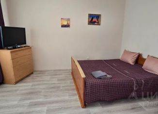Сдается в аренду квартира студия, 33 м2, Иркутск, улица Сурнова, 30/6, Правобережный округ