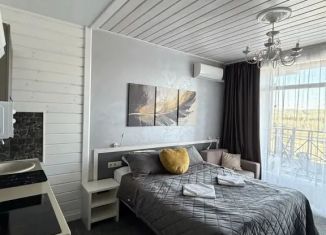 Квартира в аренду студия, 24 м2, Челябинская область
