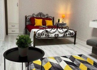Сдается однокомнатная квартира, 35 м2, Камышин, улица Пушкина, 3