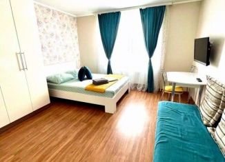 Сдается в аренду 1-комнатная квартира, 25 м2, Томск, улица Савиных, 4А, Кировский район