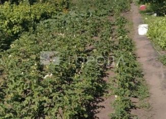 Дача на продажу, 50 м2, Алтайский край, Рябиновая улица