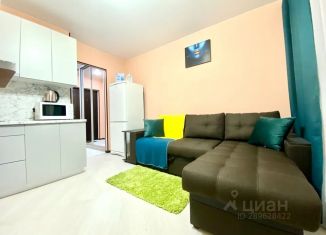 Сдача в аренду квартиры студии, 30 м2, Кемерово, Молодёжный проспект, 33к1, ЖК Берёзовая Роща