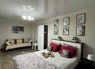 1-ком. квартира в аренду, 31 м2, Камышин, 7-й микрорайон, 27