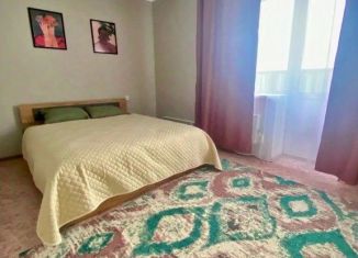 Сдается в аренду 1-ком. квартира, 46 м2, Бийск, улица Михаила Митрофанова, 2
