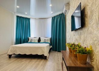 Сдается в аренду 1-ком. квартира, 38 м2, Волгоград, улица Маршала Ерёменко, 42, Краснооктябрьский район