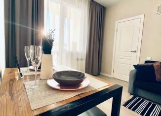 Сдается в аренду однокомнатная квартира, 40 м2, Иркутск, улица Якоби, 10, Свердловский округ