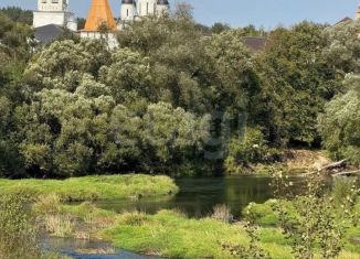Продам участок, 24 сот., Калужская область, улица Максима Горького, 16