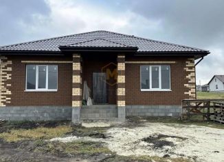 Дом на продажу, 110 м2, село Шишино, Колхозная улица, 65