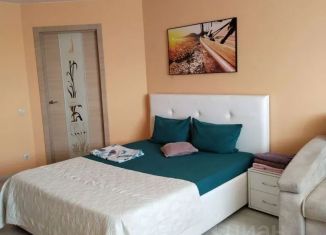 Сдача в аренду 1-ком. квартиры, 55 м2, Самара, улица Тухачевского, 80, метро Алабинская