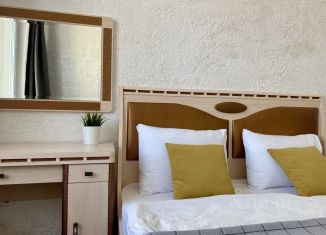 Сдача в аренду 1-ком. квартиры, 38 м2, Республика Башкортостан, улица Аксакова, 81