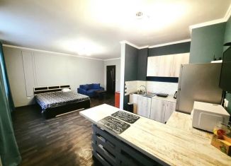 Сдача в аренду квартиры студии, 35 м2, Красноярский край, улица 9 Мая, 65