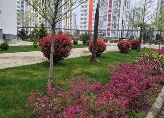 Продажа 2-ком. квартиры, 46.3 м2, Краснодарский край, улица Акаций, 34к2