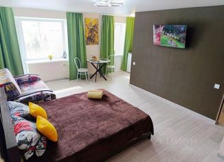 Сдается 1-ком. квартира, 35 м2, Омская область, бульвар Победы, 1