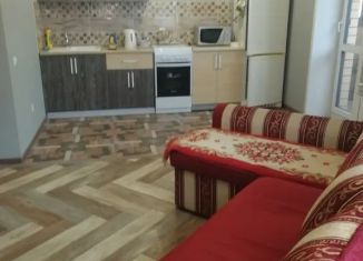 Сдаю в аренду 1-ком. квартиру, 48 м2, Воронеж, проспект Труда, 68