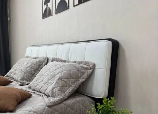 Сдаю 1-ком. квартиру, 42 м2, Энгельс, проспект Химиков, 3К