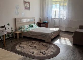 Квартира в аренду студия, 30 м2, Омская область, улица Профинтерна, 10