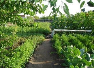 Продаю дом, 53 м2, Брянская область, Центральная улица, 7кв2