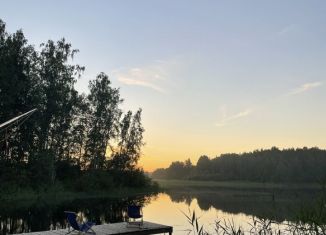 Сдача в аренду дома, 40 м2, Ленинградская область, Береговая улица