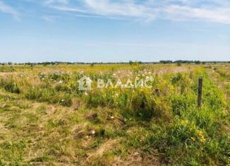 Продажа земельного участка, 9.92 сот., село Бессоновка, Центральная улица