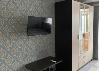 Сдам 1-комнатную квартиру, 35 м2, Волгоград, улица Маршала Ерёменко, 118, Краснооктябрьский район