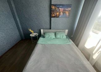 Сдача в аренду однокомнатной квартиры, 60 м2, Ижевск, улица Софьи Ковалевской, 3