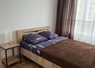Сдается в аренду 1-комнатная квартира, 37 м2, Тверь, улица Левитана, 93А, Московский район